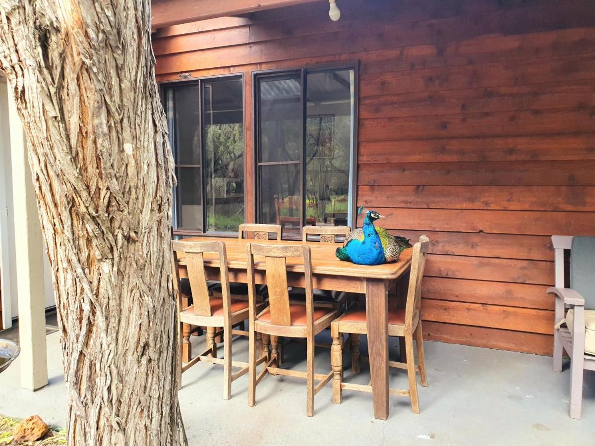 Kerriley Park Farmstay Yelverton Bagian luar foto
