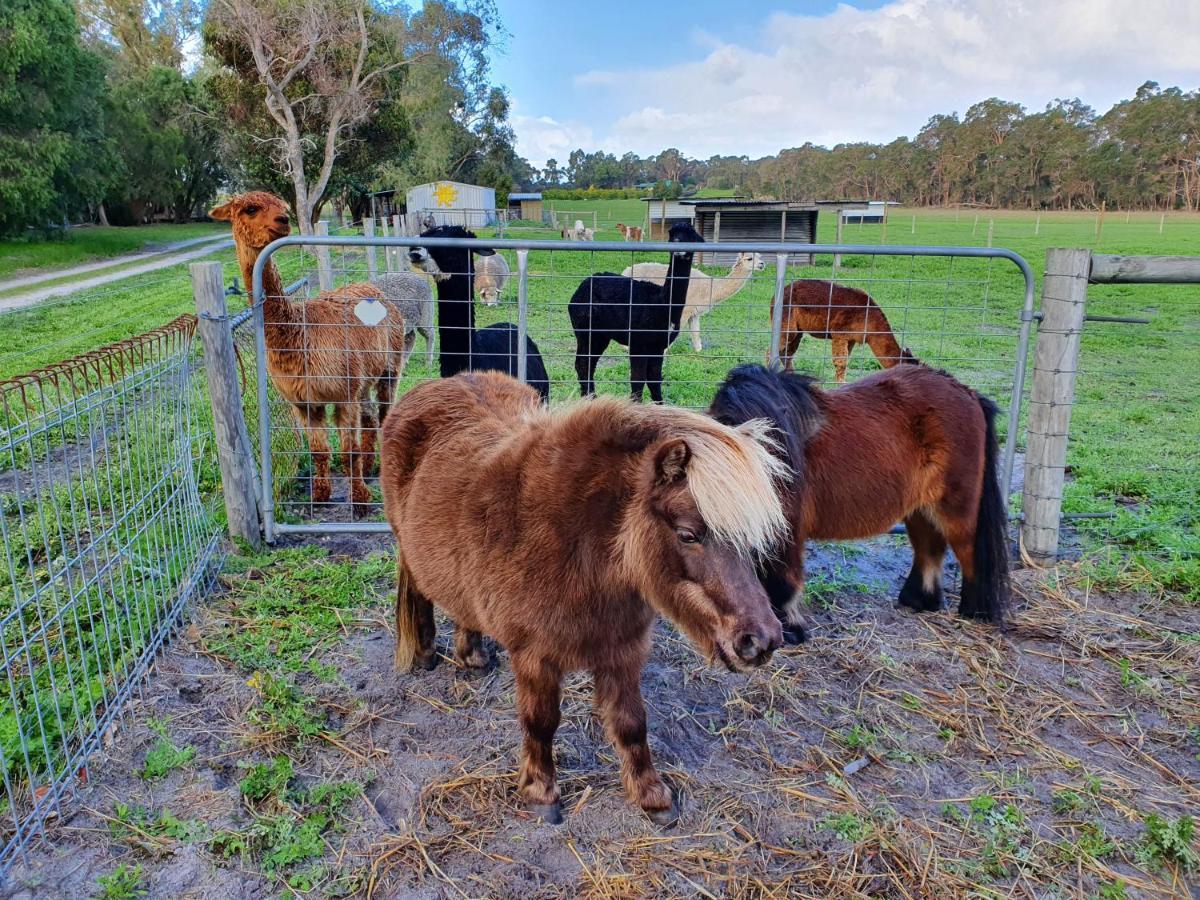 Kerriley Park Farmstay Yelverton Bagian luar foto