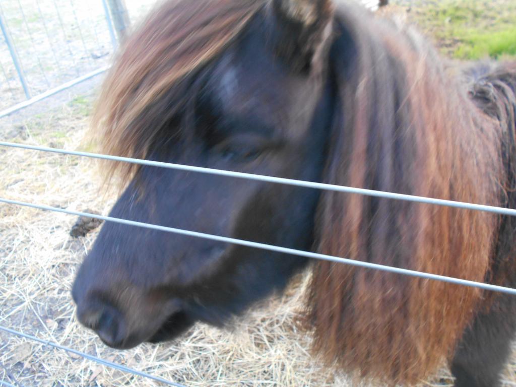 Kerriley Park Farmstay Yelverton Bagian luar foto