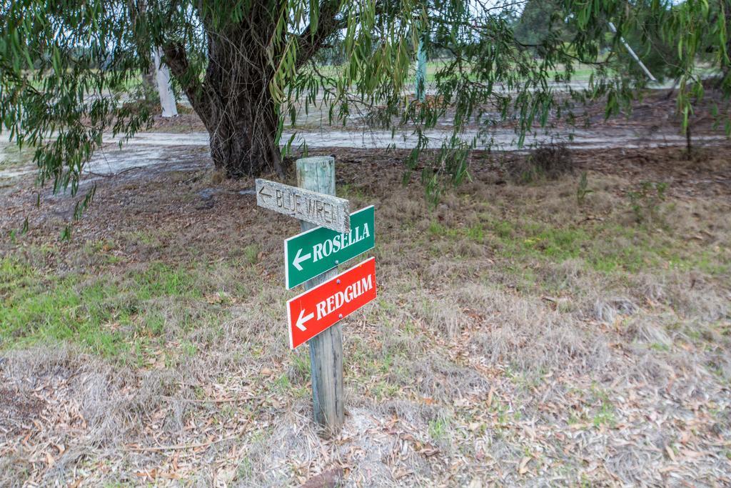 Kerriley Park Farmstay Yelverton Bagian luar foto
